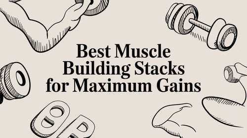 Best Muscle Building Stacks for Maximum Gains