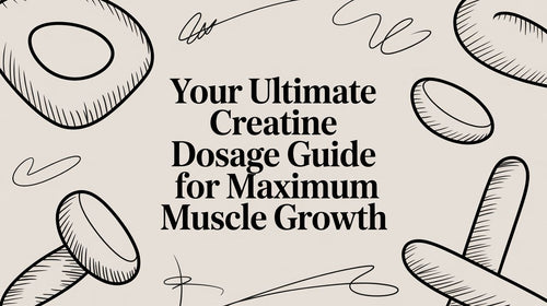 Your Ultimate Creatine Dosage Guide: The No-BS Path to More Muscle