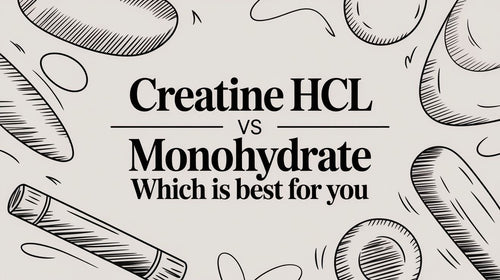 Creatine HCL vs Monohydrate: Which One Will Actually Build Muscle?