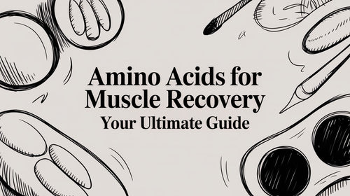 Amino Acids for Muscle Recovery Your Ultimate Guide