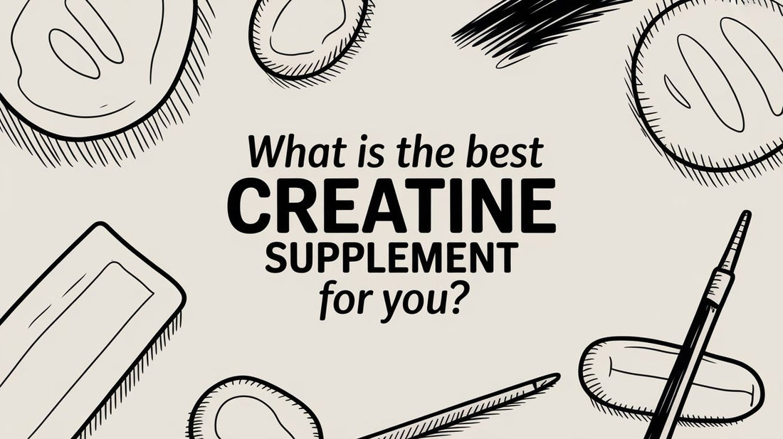 What Is the Best Creatine Supplement for You? A Real-Life Guide