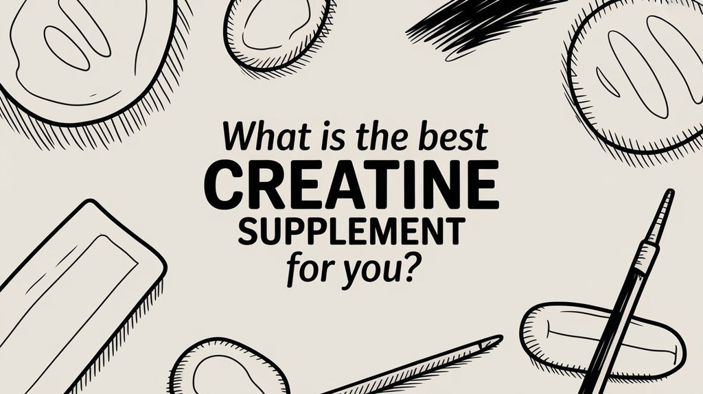 What Is the Best Creatine Supplement for You? A Real-Life Guide