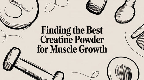 Finding the Best Creatine Powder for Muscle Growth