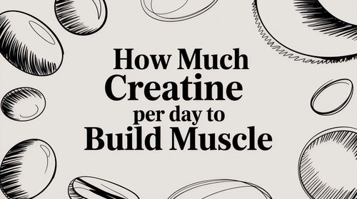 How Much Creatine Per Day To Build Muscle And Unleash Your Inner Beast