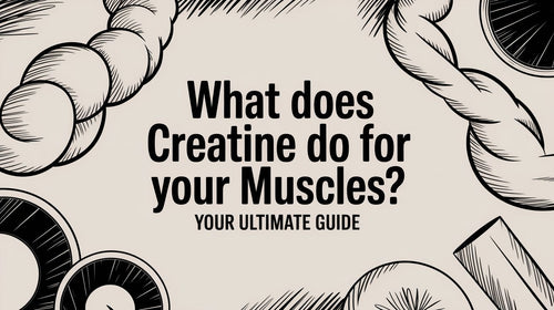What Does Creatine Do for Your Muscles? Your Ultimate Guide to Unleashing Beast Mode