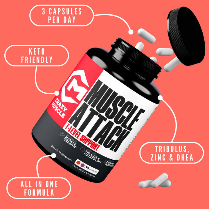 Muscle Attack
